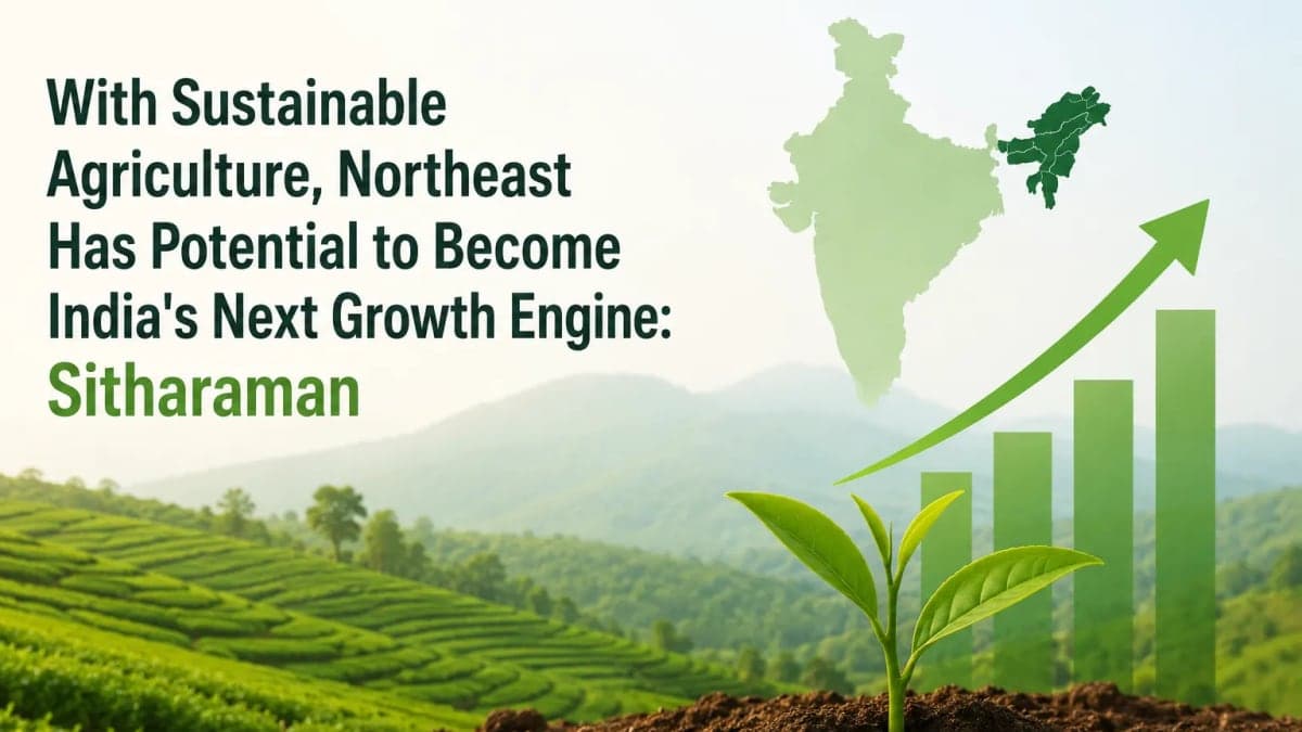With Sustainable Agriculture, Northeast Has Potential to Become India's Next Growth Engine: Sitharaman